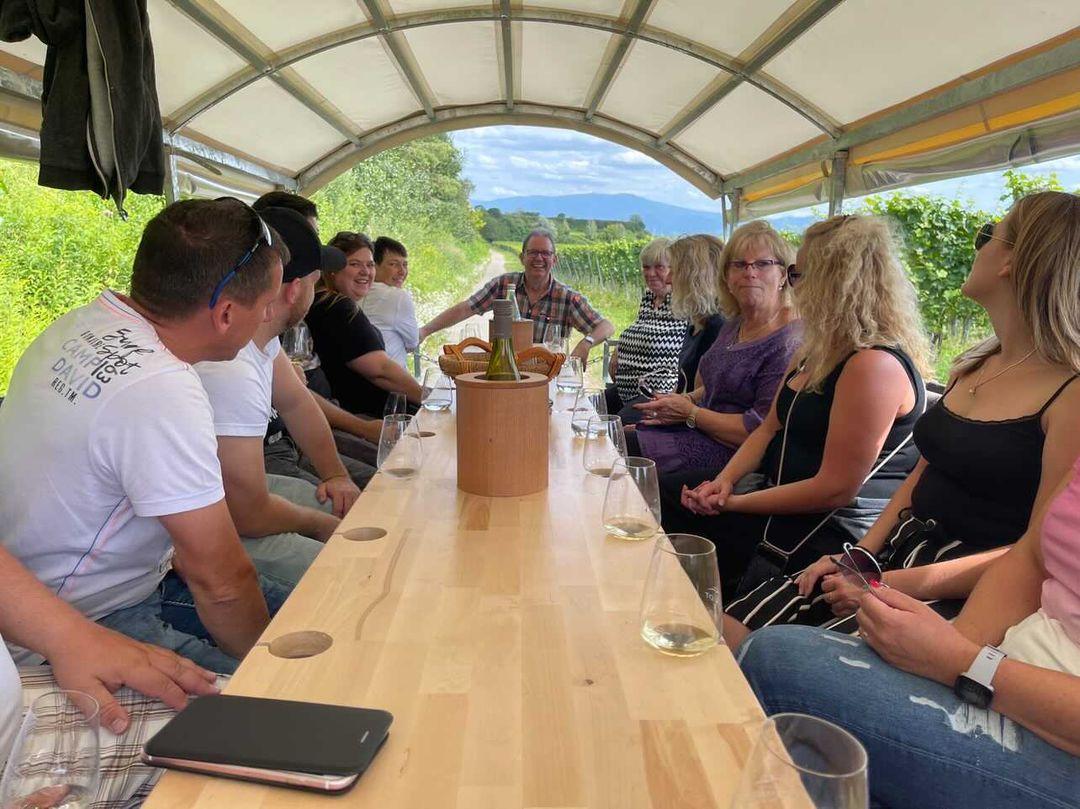 Weingut Frank Schmidt am Kaiserstuhl, Weinverkostung am Weinberg, Weinsafari