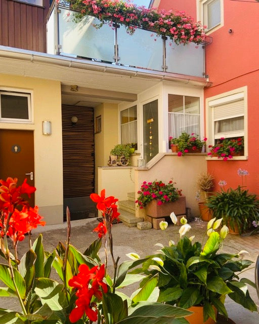 Weingut Frank Schmidt am Kaiserstuhl, unsere Ferienwohnung 