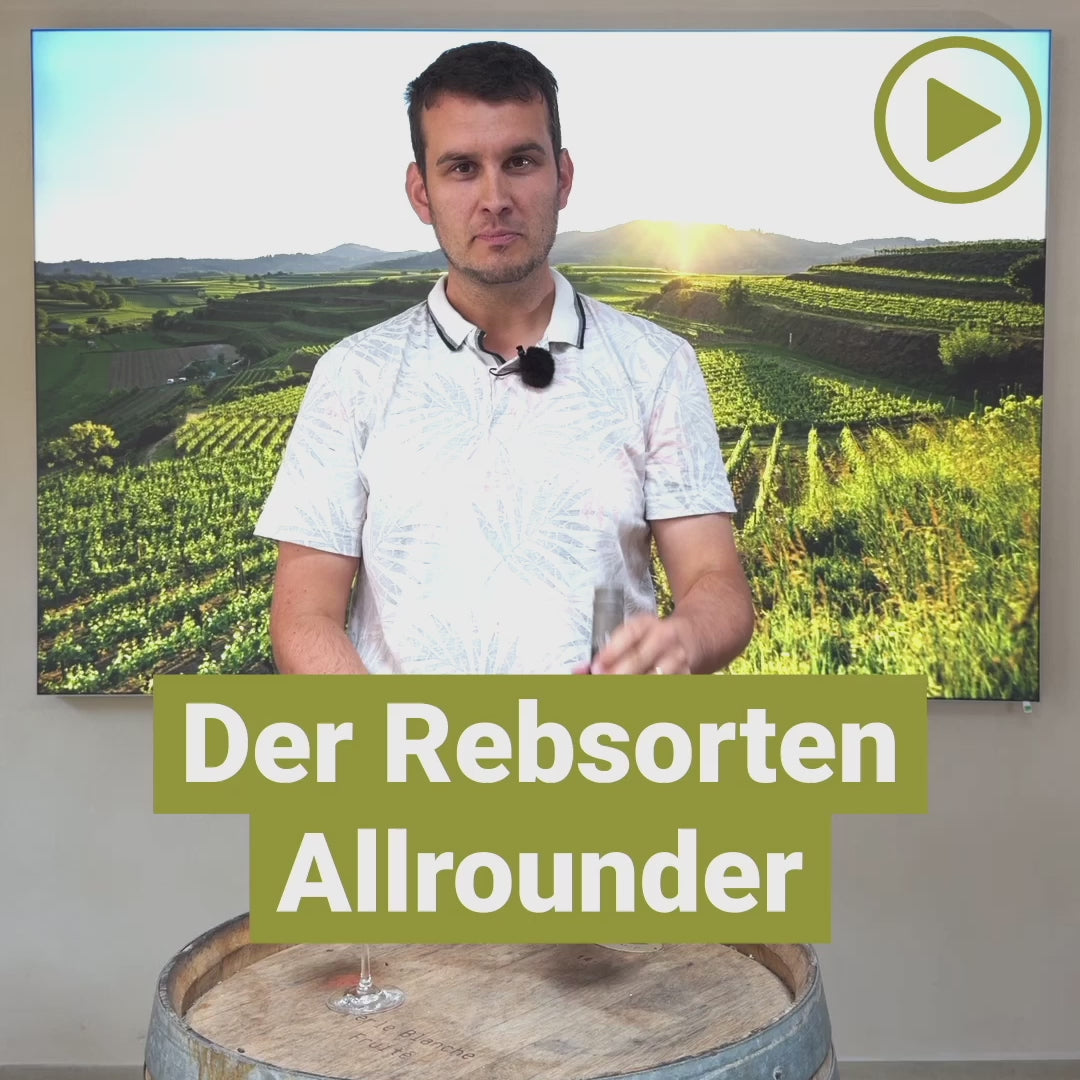 2022 Spätburgunder Rotwein Aussicht trocken