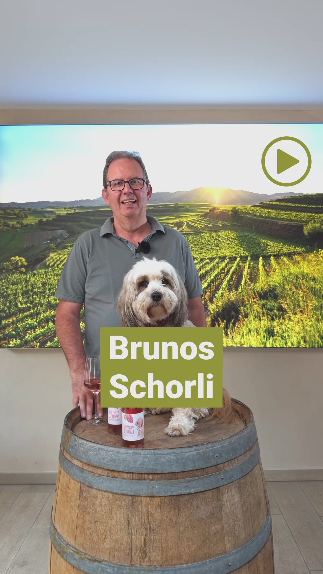 Bruno's Traubenschaftschorle alkoholfrei 2er Set