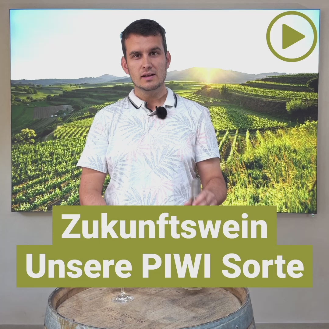 2023 Souvignier Gris Aussicht trocken PiWi