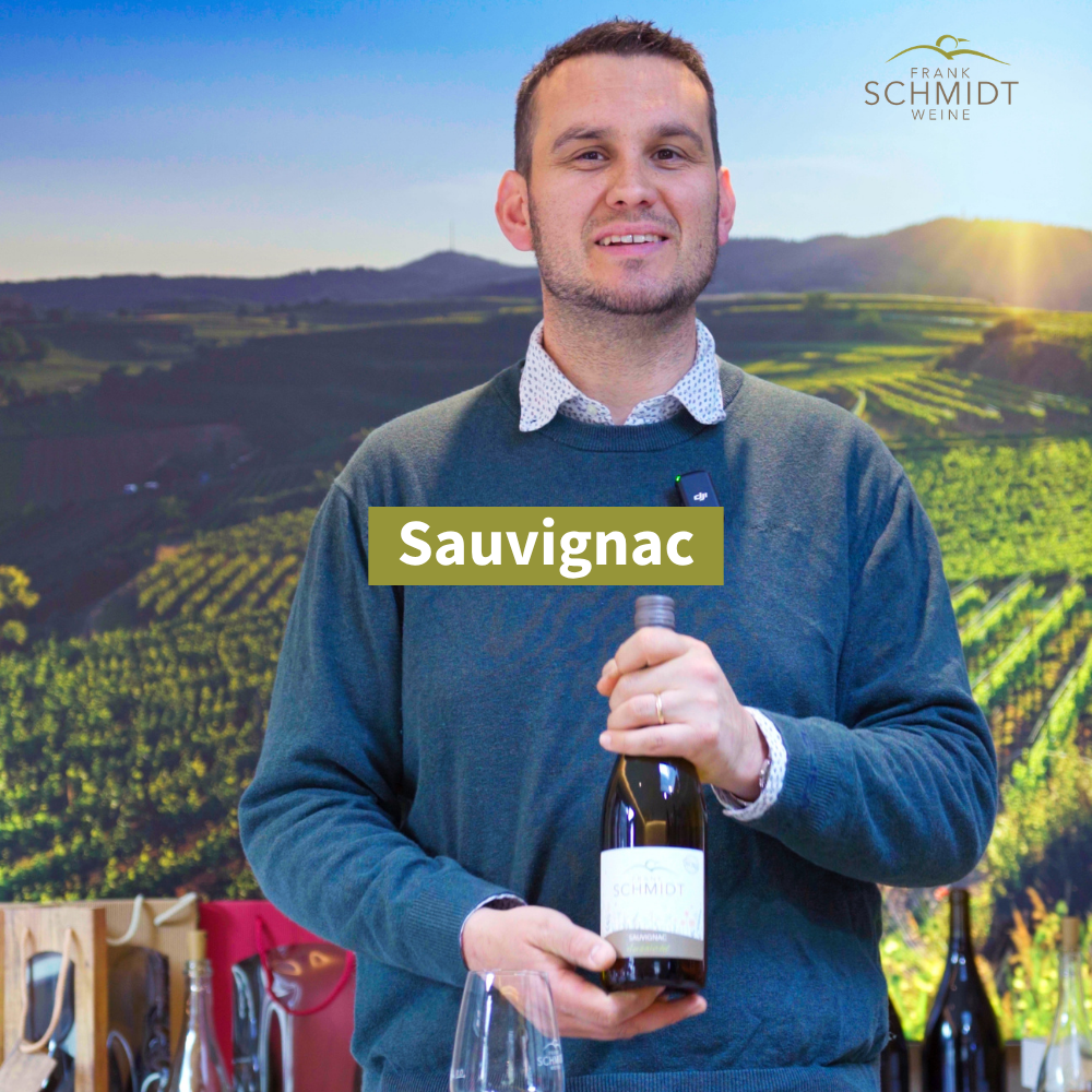 2025 Sauvignac AUSSICHT trocken PIWI